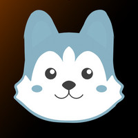 paw_collection: 41