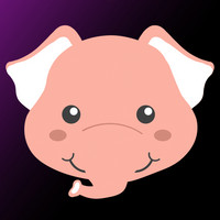 paw_collection: 9007