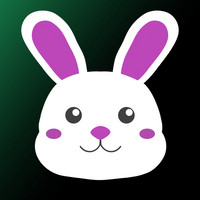 paw_collection: 8041
